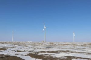 kazpulse-1768612376-fjifQFqo