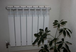 kazpulse-1768615158-m1SIMNBA