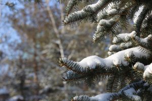 kazpulse-1768462531-LDJxSzLZ