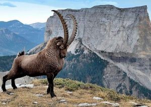 kazpulse-1768462737-Oj5IoGYv