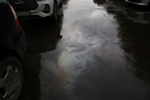 kazpulse-1768463673-h7UDAUcc