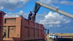 kazpulse-1768463722-f362PDU2