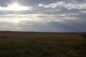 kazpulse-1768464726-pm70n6Q7