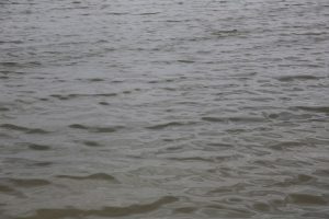 kazpulse-1768464844-aAop0aGy