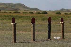 kazpulse-1768525107-44h78e1P