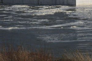 kazpulse-1768525384-bBoFOige