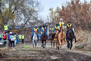 kazpulse-1768525406-S3qXnPKb