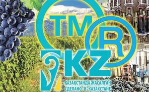 kazpulse-1768525578-1p6eqUvr