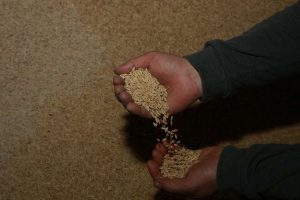 kazpulse-1768525957-gUNd4InC