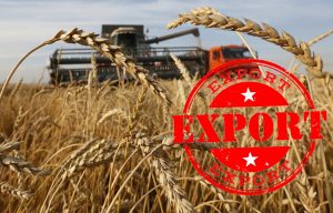 kazpulse-1768526020-FKO8Mrgx