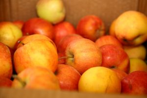 kazpulse-1768526047-30T6bFai