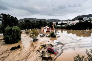 kazpulse-1768611509-ONzY9yq1