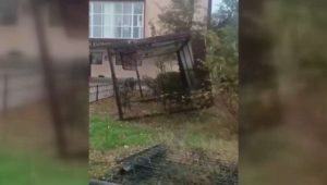 kazpulse-1768611612-k1EKVfvc