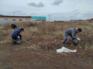 kazpulse-1768611774-4wqgaDJV