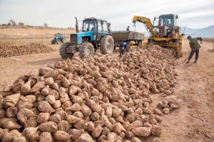 kazpulse-1768611992-UA4Y5dBc