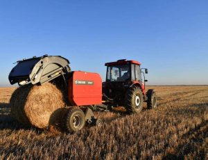 kazpulse-1768611994-Ohln4RkG