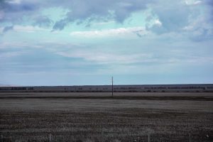 kazpulse-1768612111-ql6qq1Ce