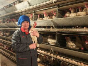 kazpulse-1768457289-10giSuep