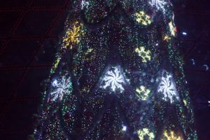 kazpulse-1768458126-omEcQSUF