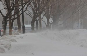 kazpulse-1768458135-8VbLjnVg