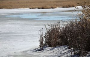 kazpulse-1768458259-wVbCTTJF