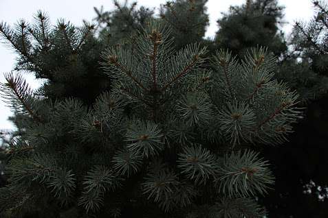 kazpulse-1768458382-noJ23i4s