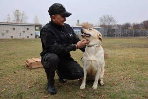 kazpulse-1768458876-JPvi3f33