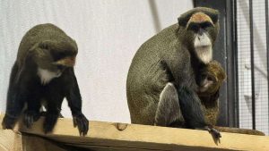 kazpulse-1768459161-j1feNs3N