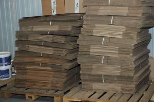 kazpulse-1768459375-LLxtAQ4t