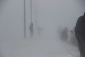 kazpulse-1768459920-cS7Ci8TU