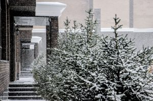 kazpulse-1768403594-8HFLgUlR