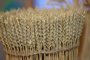 kazpulse-1768403728-dFIgd1vQ