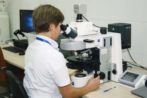 kazpulse-1768404446-RD0ms9M6