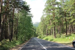 kazpulse-1768405100-LDDqYwld