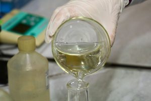 kazpulse-1768405559-QD9I3EcO