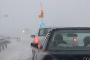 kazpulse-1768407113-8JrEdnw9