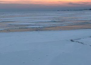 kazpulse-1768407445-x53JzJ4a