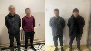 kazpulse-1768408321-B8mWginx