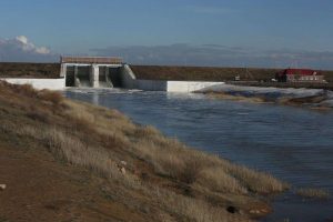 kazpulse-1768408388-8OKuJIqj