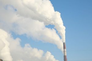 kazpulse-1768455037-extDRucg