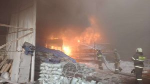 kazpulse-1768455276-nxoavzGS