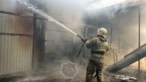 kazpulse-1768455325-CLFjsJK0