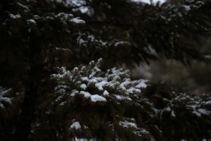 kazpulse-1768455491-EkLt8Ruu