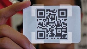 kazpulse-1768455816-xSO4mHKk