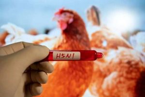 kazpulse-1768456539-nRsPTSKB