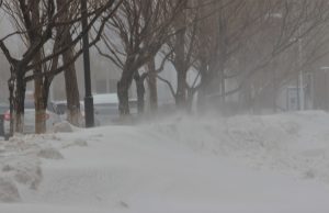 kazpulse-1768456662-uItKgn6C