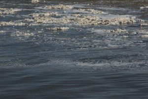 kazpulse-1768396862-ZC3NNmRB