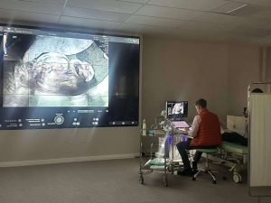 kazpulse-1768397554-BYYdWv0w