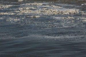 kazpulse-1768398590-LHsZeEYC