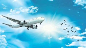 kazpulse-1768400463-bdreP95J